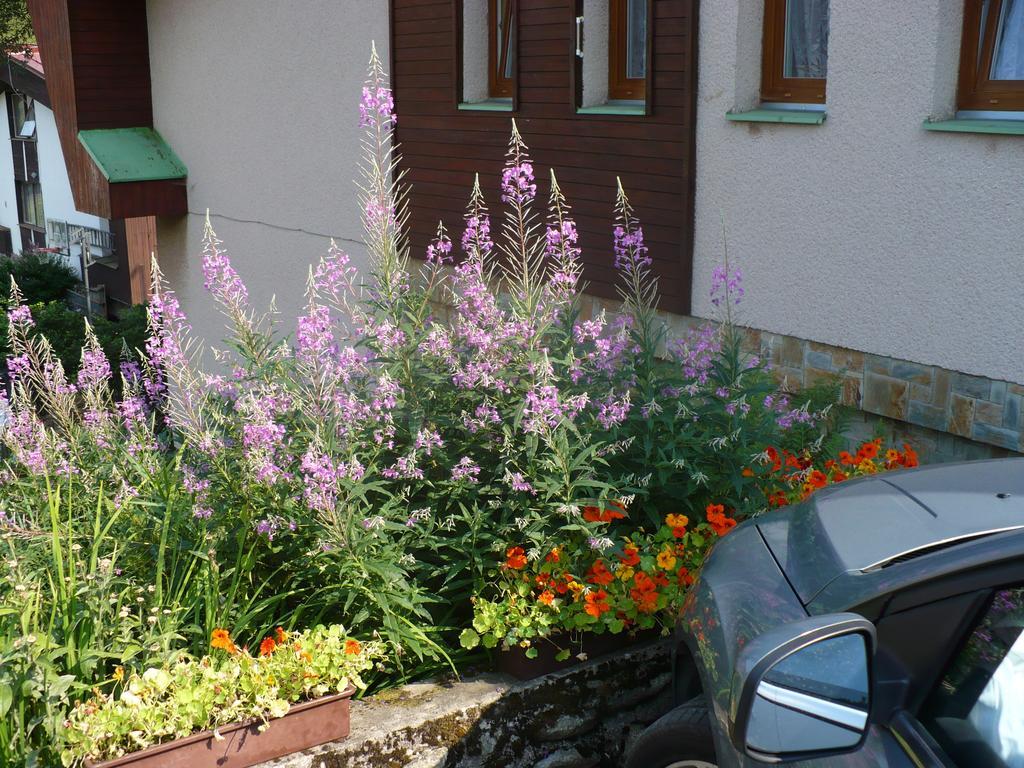 Ubytování Zmatlíková Pec pod Snezkou Exterior foto